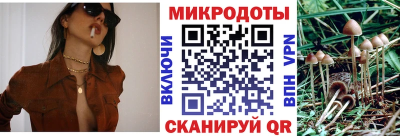 где можно купить   Чкаловск  Галлюциногенные грибы мухоморы 